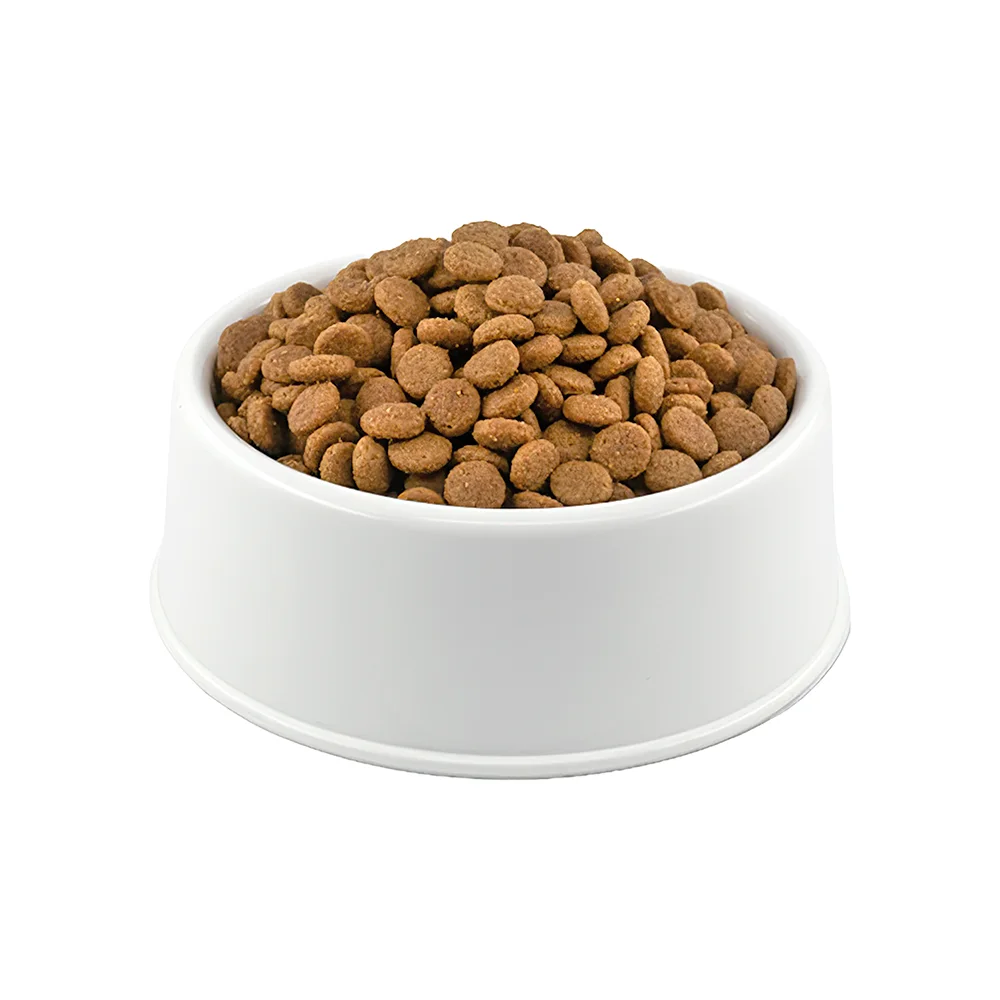 Royal Canin Hassas Sindirim Açık Yetişkin Kedi Maması