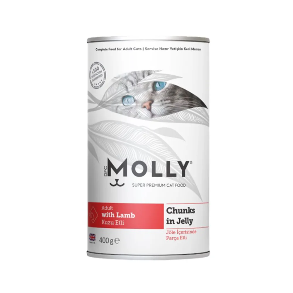 Molly Kuzu Etli Kedi Konservesi (400 g)